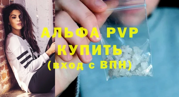 apvp Инта