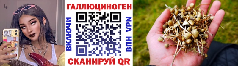 Купить  Белореченск  Псилоцибиновые грибы GOLDEN TEACHER 